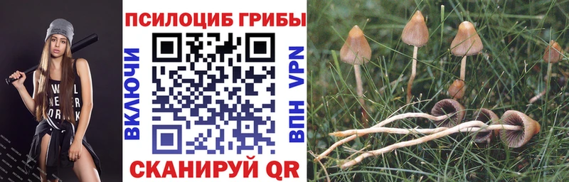 Псилоцибиновые грибы MAGIC MUSHROOMS  Купить закладки  Комсомольск 